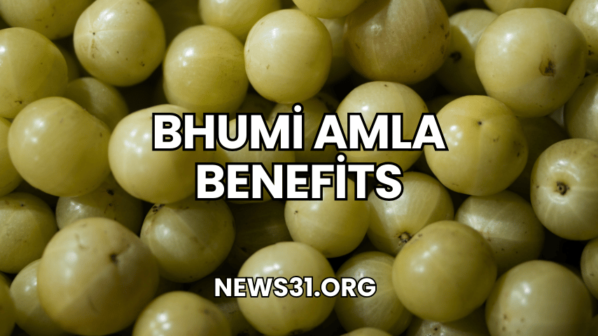 Bhumi Amla Benefits