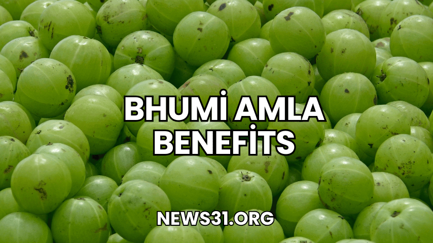 Bhumi Amla Benefits