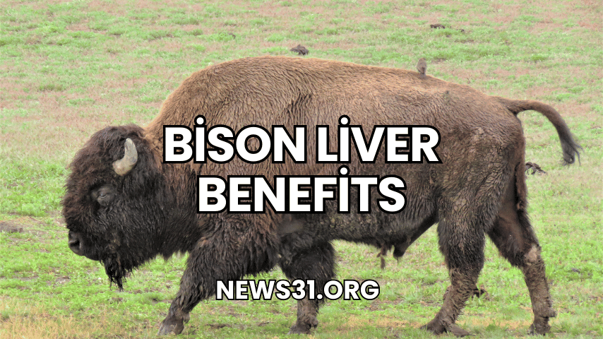 Bison Liver Benefits