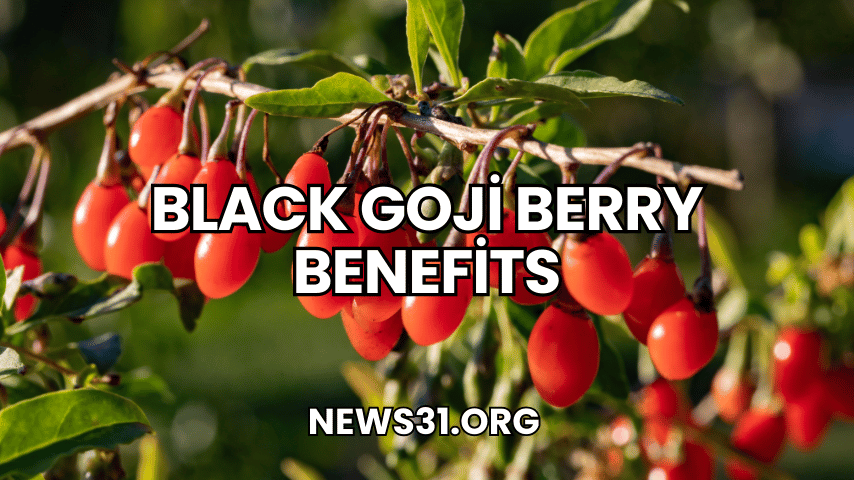 Black Goji Berry Benefits