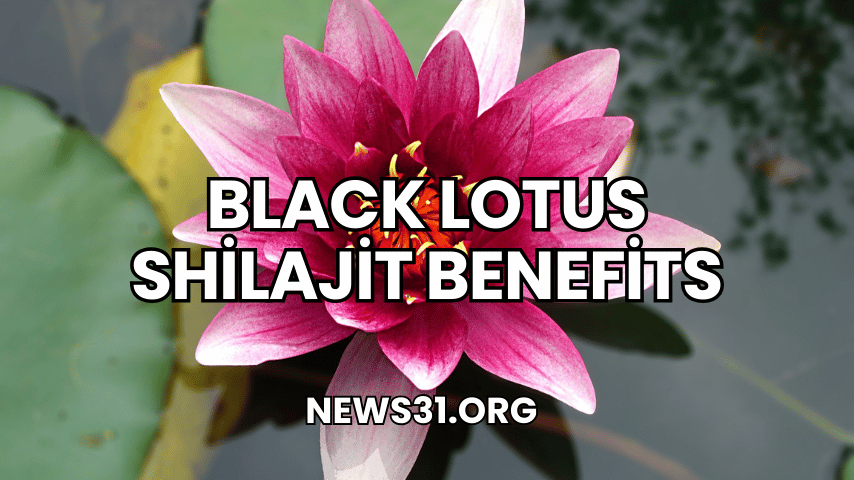 Black Lotus Shilajit Benefits