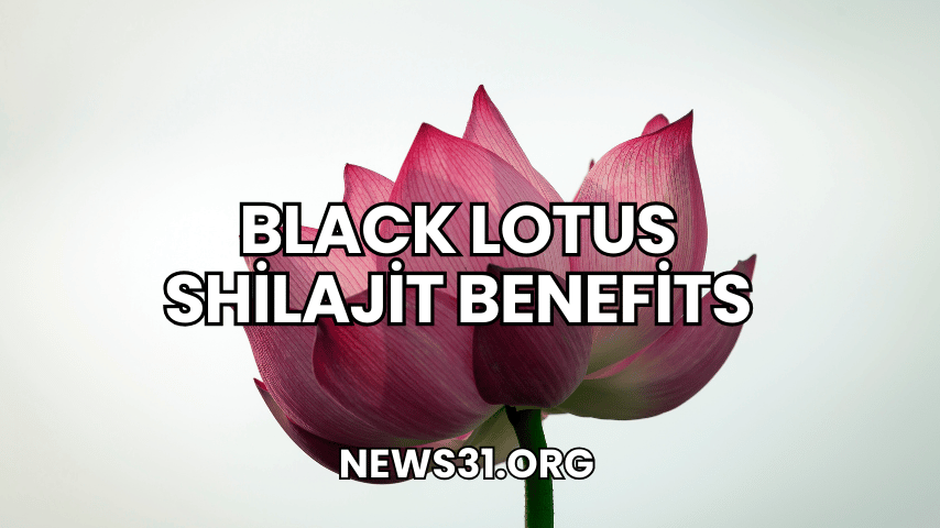 Black Lotus Shilajit Benefits