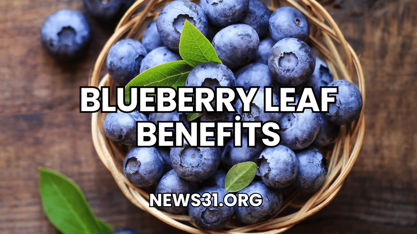 Blueberry Leaf Benefits