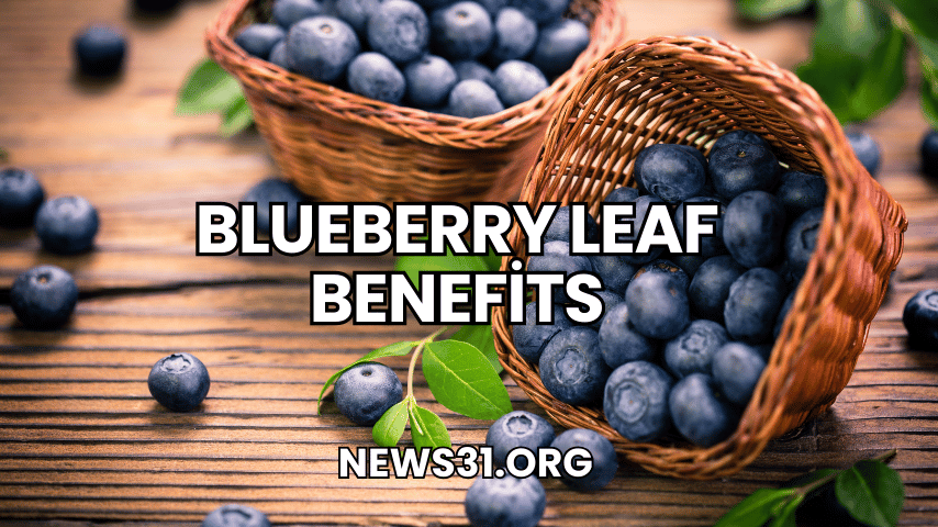 Blueberry Leaf Benefits