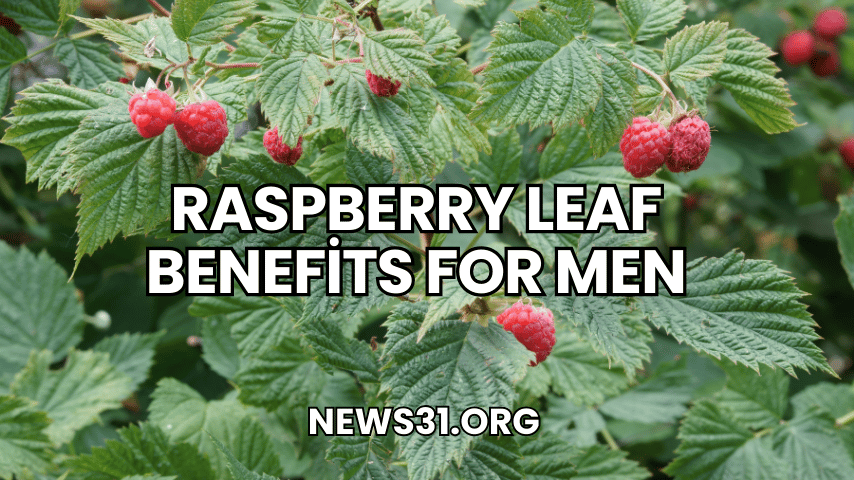 Raspberry Leaf Benefits for Men