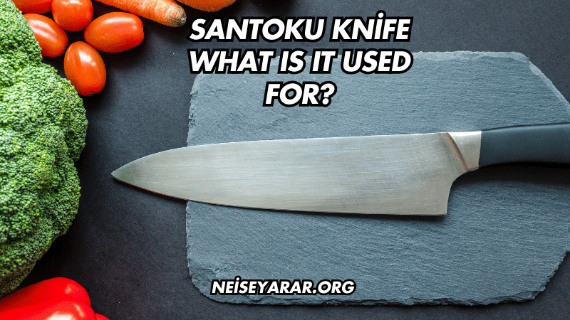 Santoku Knife What Is It Used For?