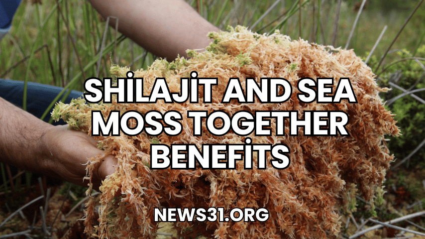 Shilajit and Sea Moss Together Benefits