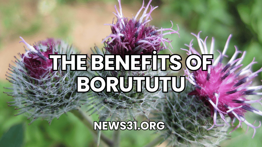 The Benefits of Borututu