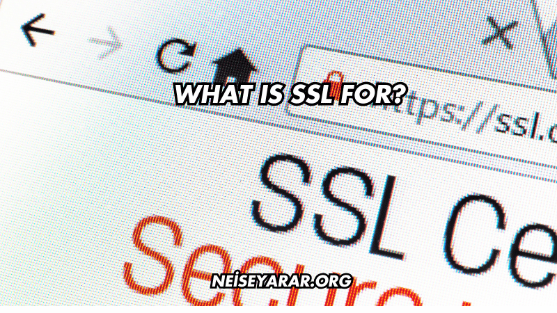 What Is SSL For?